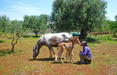 Les Pouilles en Famille