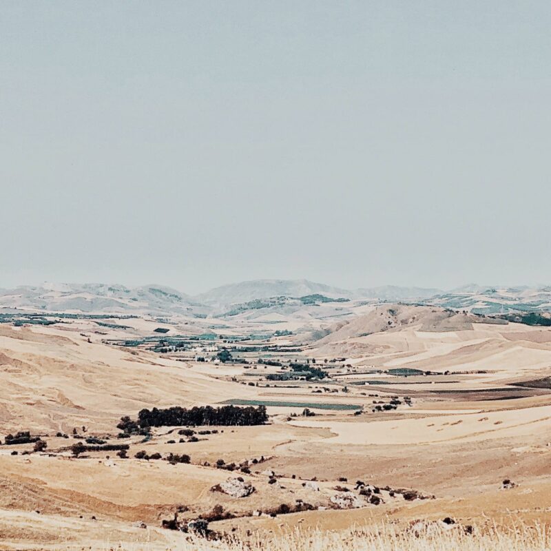 Le Voyageur Mediterraneen