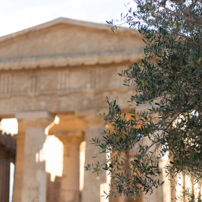 Le Voyageur Mediterraneen