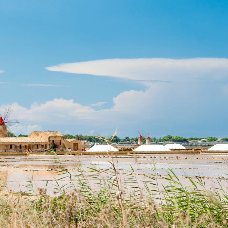 Le Voyageur Mediterraneen