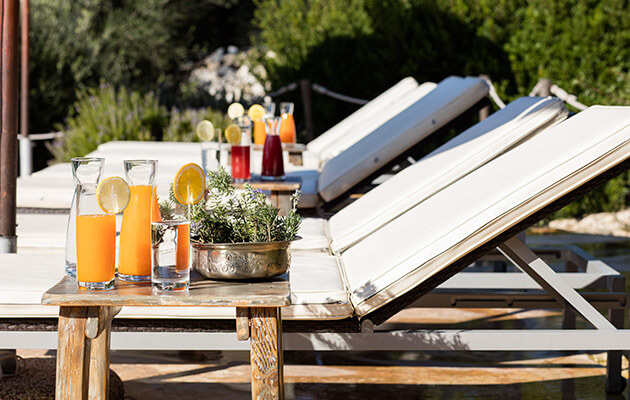 Le Voyageur Mediterraneen